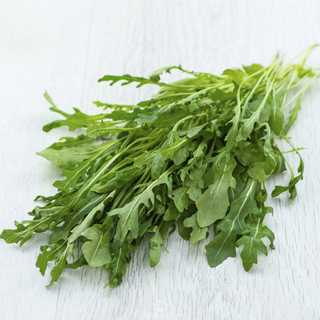 Rucola